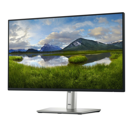 Monitor DELL P2425HE 24" / IPS / Full HD / 5ms / 100 Hz / HDMI / DP / RJ45 / USB-C / USB