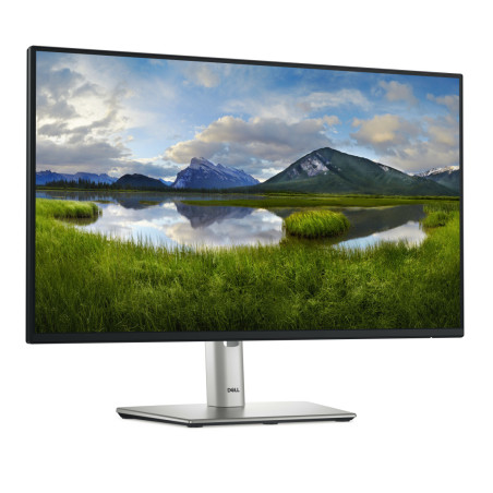Monitor DELL P2425HE 24" / IPS / Full HD / 5ms / 100 Hz / HDMI / DP / RJ45 / USB-C / USB