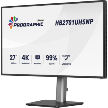 Monitor biurkowy iiyama ProGraphic...