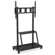 Stojak LCD 55-100 cali 150 kg